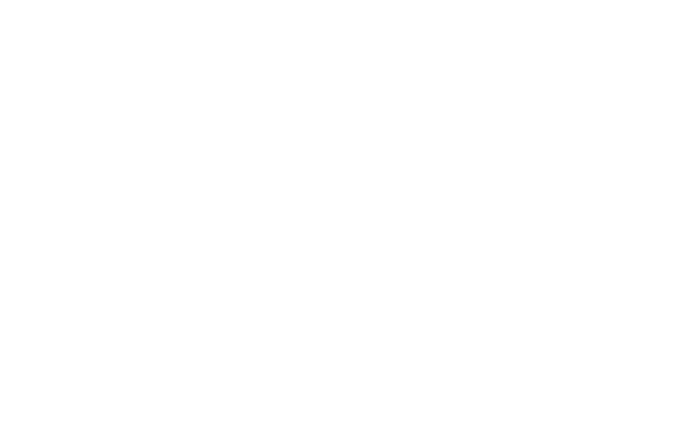 gmi