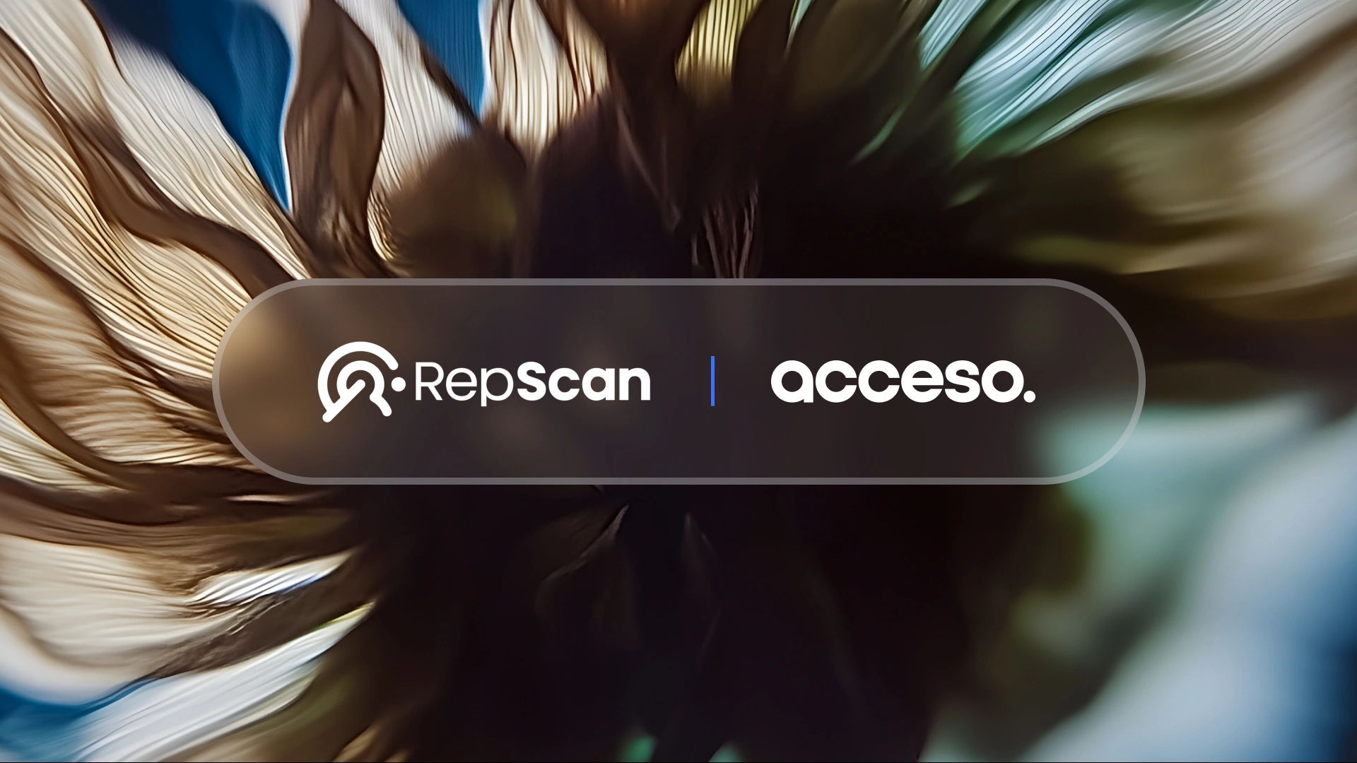 acceso_REPSCAN